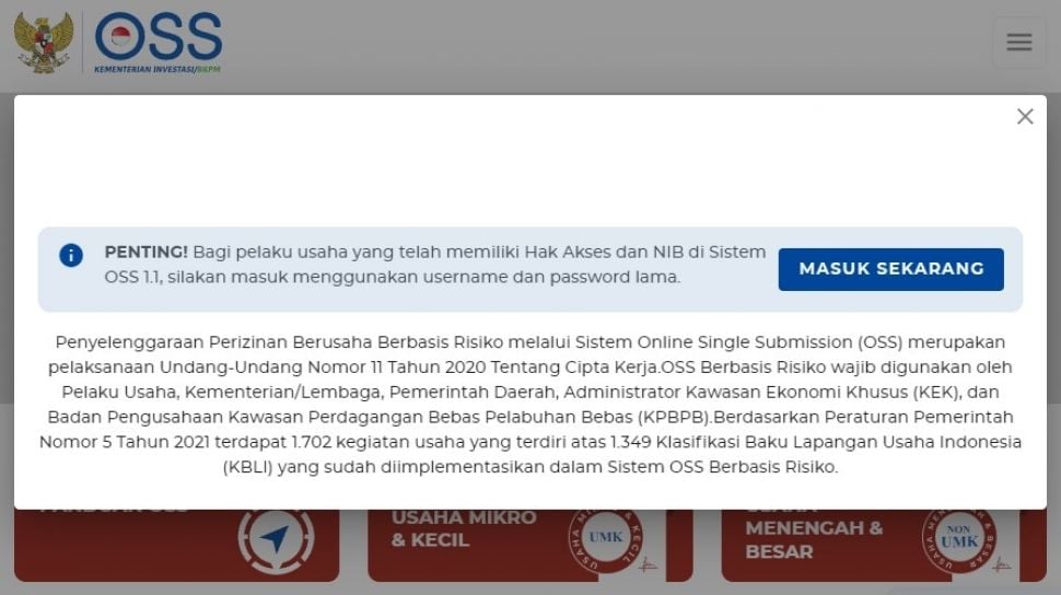 UMKM Online